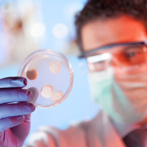 Dangerous Antibiotic-Resistant Bacteria Transmitted From Animals to Humans Image